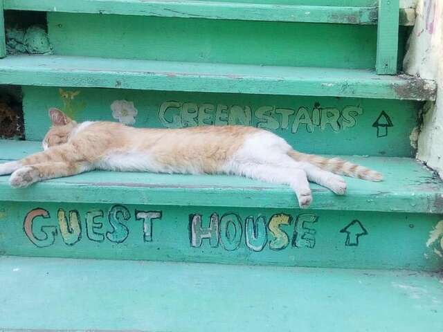 Гостевой дом Green Stairs Guest house Тбилиси-15